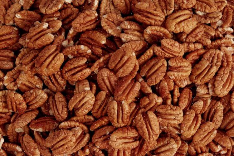 nueces 