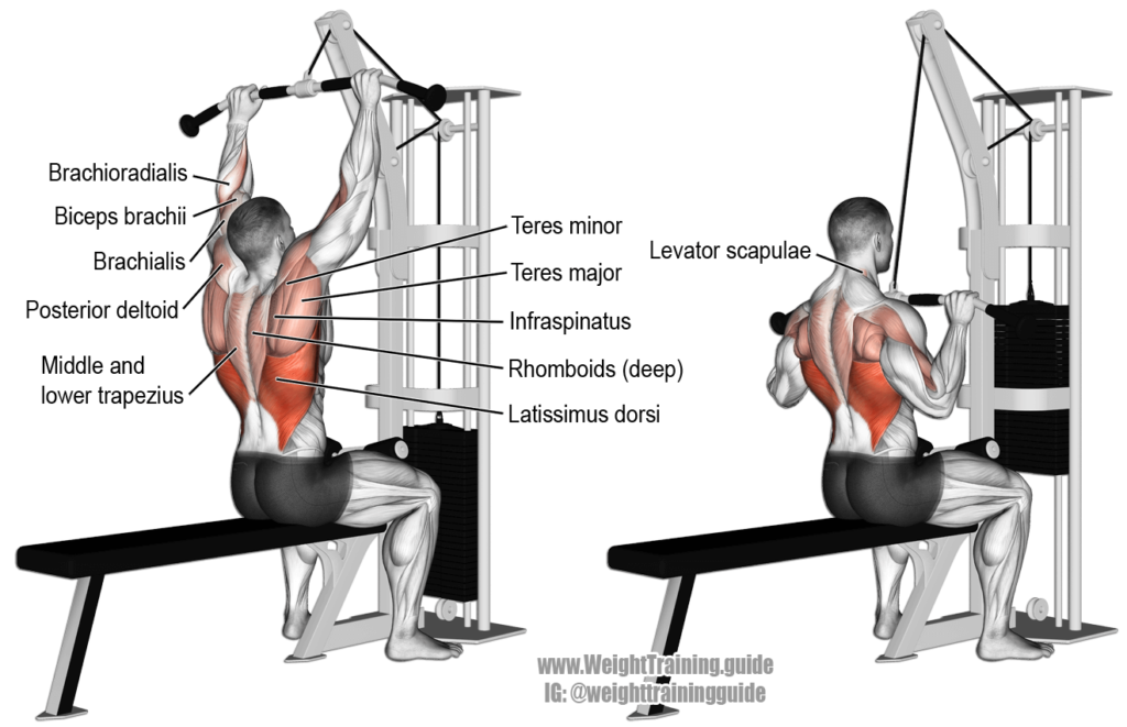 lat pull down agarre cerrado