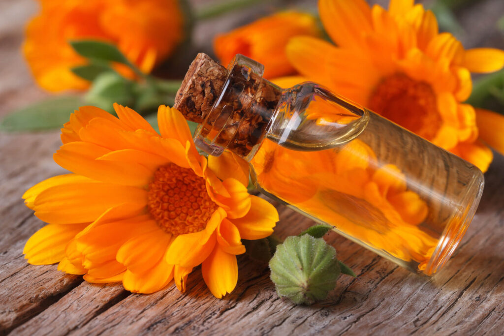 aceite de calendula flor