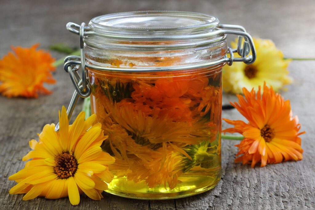 calendula aceite en vaso